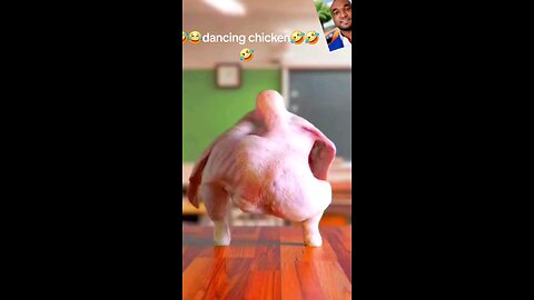 dancing chicken