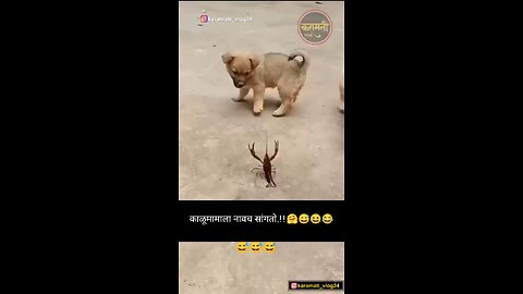 काळू मामालाच नाव सांगतो