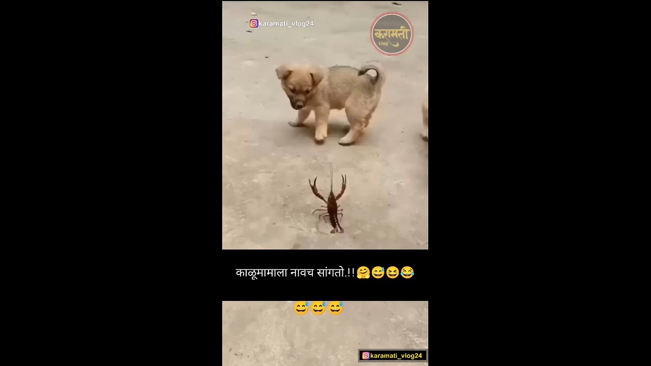 काळू मामालाच नाव सांगतो
