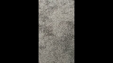 Test 1