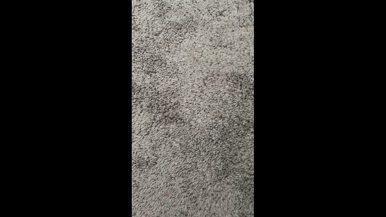 Test 1