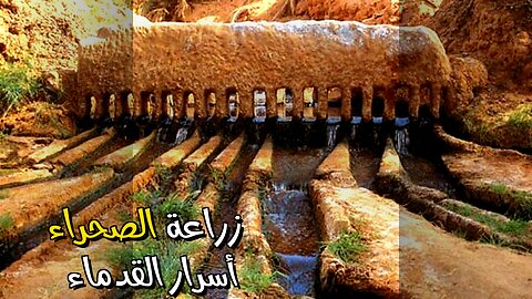 أسرار الحضارات القديمة: كيف زرعوا في الصحراء؟ ️