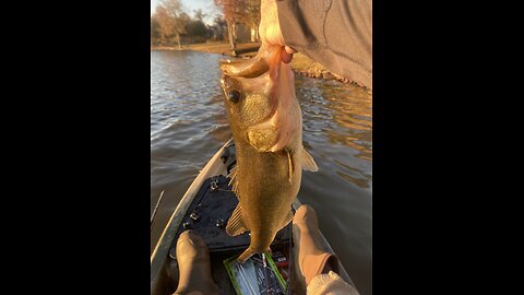 Colder temps - try this! Caught a Big Bass!