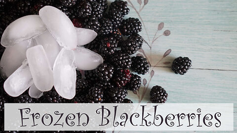 How to Freeze Blackberries