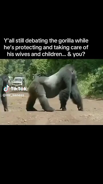 𝚃𝚑𝚎 𝚑𝚒𝚎𝚛𝚊𝚛𝚌𝚑𝚢 𝚒𝚗 𝚝𝚑𝚎 𝙶𝚘𝚛𝚒𝚕𝚕𝚊 𝙵𝚊𝚖𝚒𝚕𝚢-𝙼𝚐𝚊𝚑𝚒𝚗𝚐𝚊