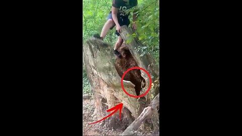 ULTIMATE EPIC FAILS 🔥 | Funniest Animated Fails You Can’t Unsee 😂