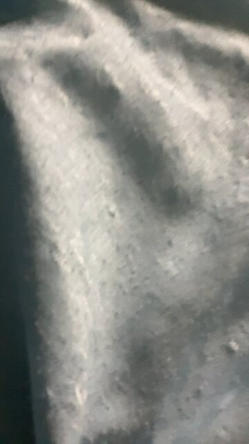 Chestnut wants no noise from you