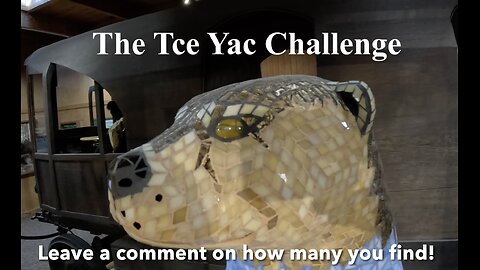 Tce Yac Challenge