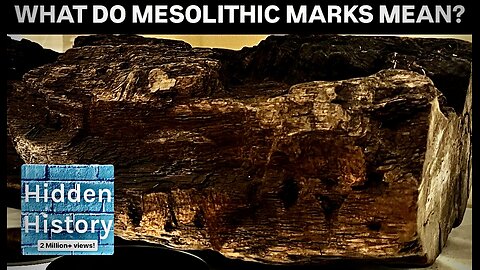 Oldest carved wood in Britain has ‘unusual markings’ and dates to Mesolithic period