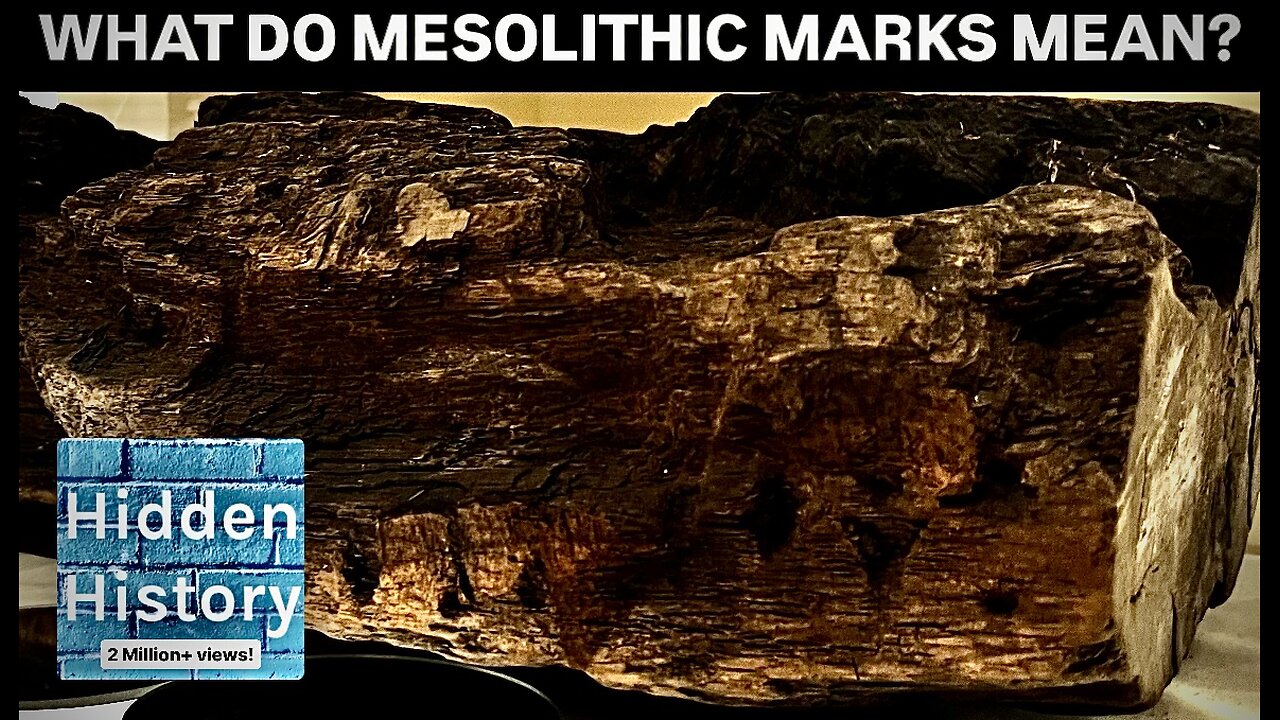 Oldest carved wood in Britain has ‘unusual markings’ and dates to Mesolithic period