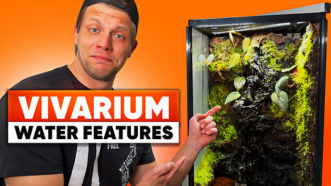 Bioactive Enclosures - Water Features!