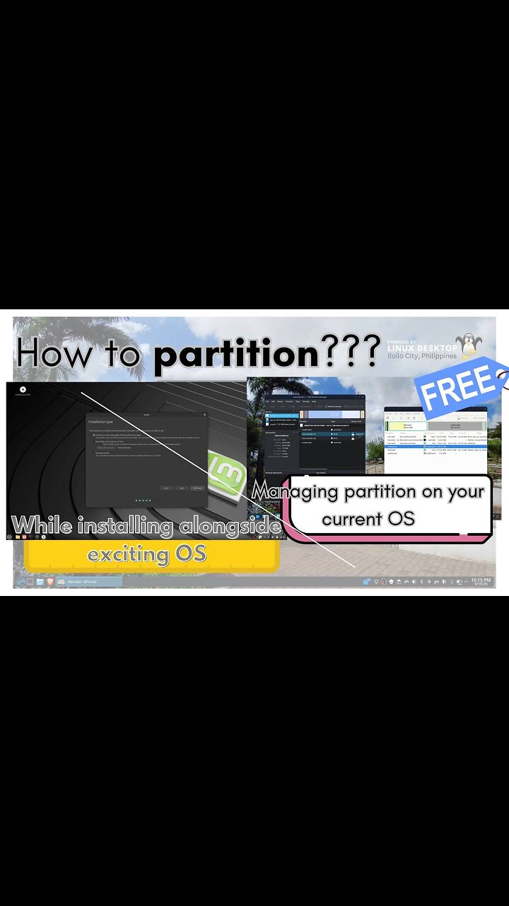 Linux App - How to partition???