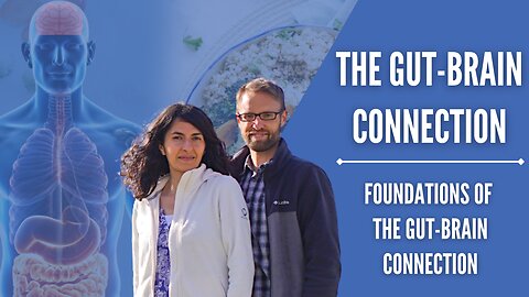 The Gut-Brain Connection: Foundations of the Gut-Brain Connection 1/8 | Chad & Fadia Kreuzer