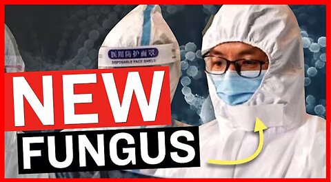 The Deadly FUNGUS Chinese "Scholars" Have Snuck into the MIDWEST