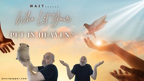 Who Let Your Pet in Heaven?