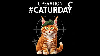 Operation #Caturday