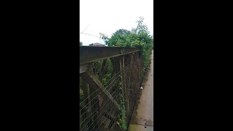 “One Step from the Deep: Ghana’s Dirty River Crossing”