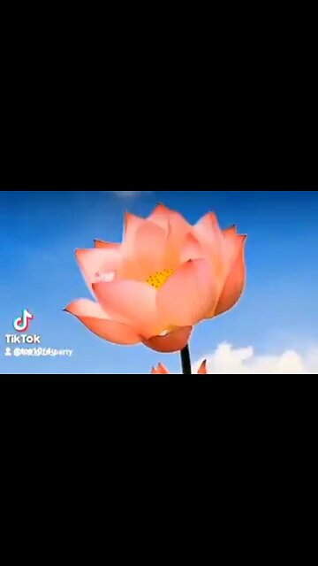 THE GOD OF ALL COMFORT - DAILY DEVOTIONAL ❤️