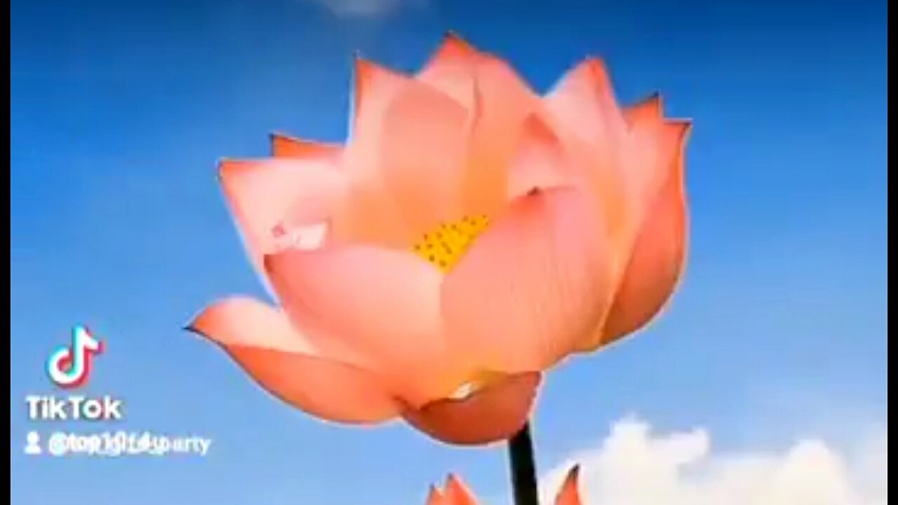 THE GOD OF ALL COMFORT - DAILY DEVOTIONAL ❤️