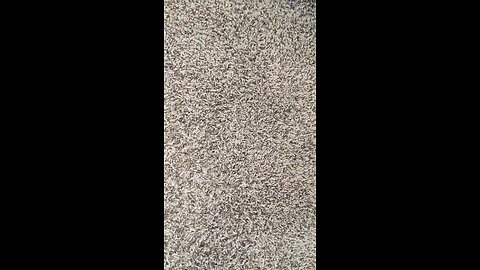 Test 502