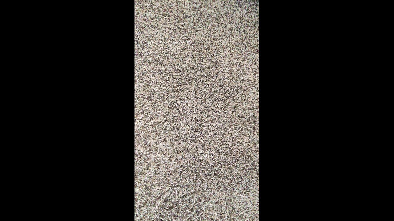 Test 502