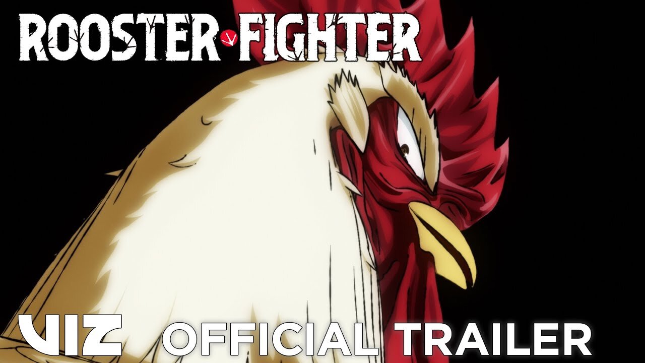 Official Anime Trailer | Rooster Fighter