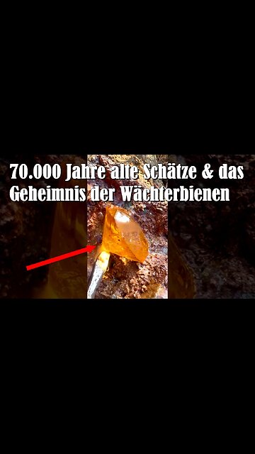 Forscher entdeckt uralte Kristalle - Münzen und mysteriöse Wächterbienen – was verbergen sie?