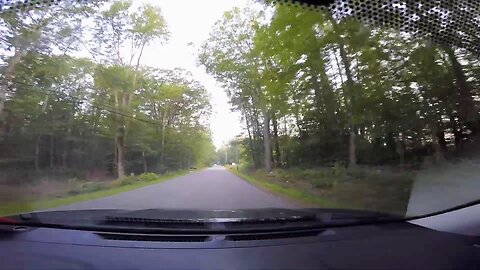 Doe and Fawn Crossing