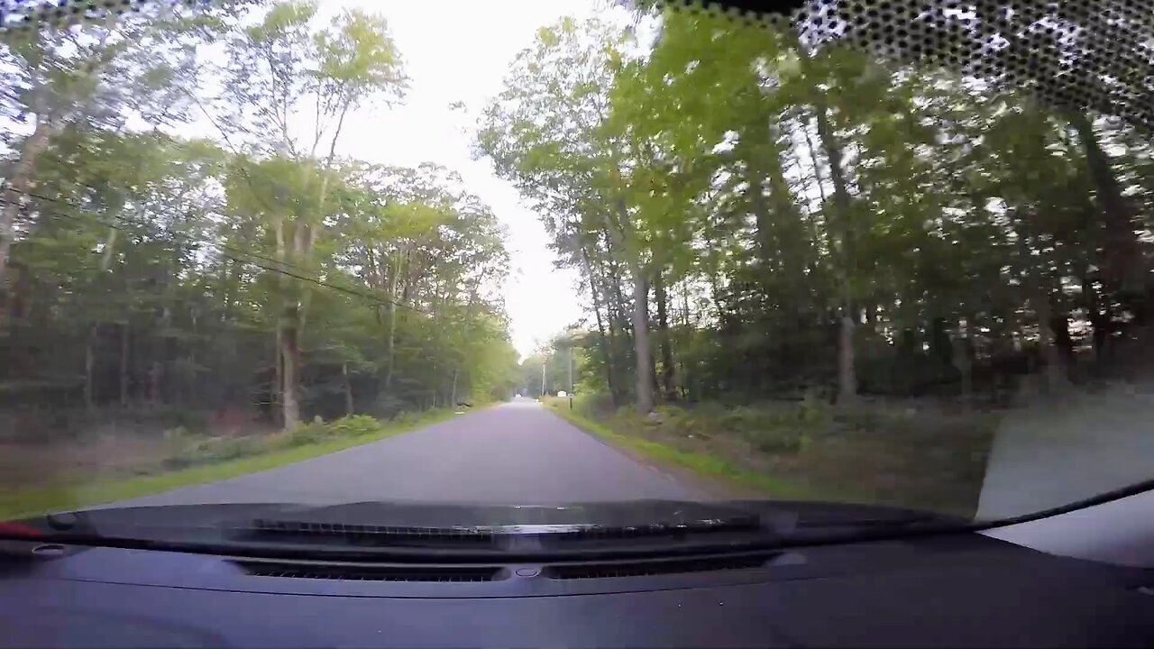 Doe and Fawn Crossing