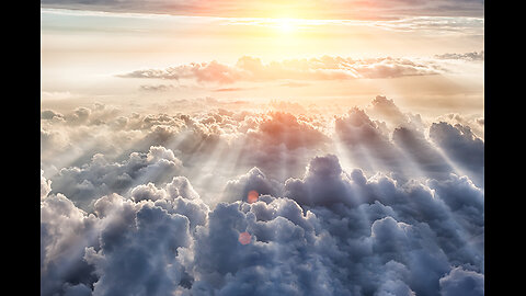 Barbara Fleming There Must Be A Heaven