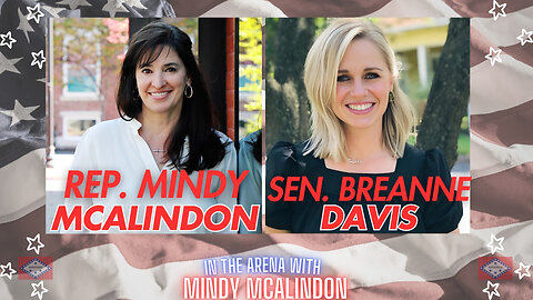 In The Arena With Mindy McAlindon - Senator Breanne Davis