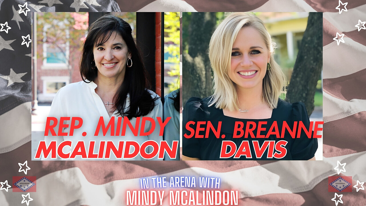 In The Arena With Mindy McAlindon - Senator Breanne Davis