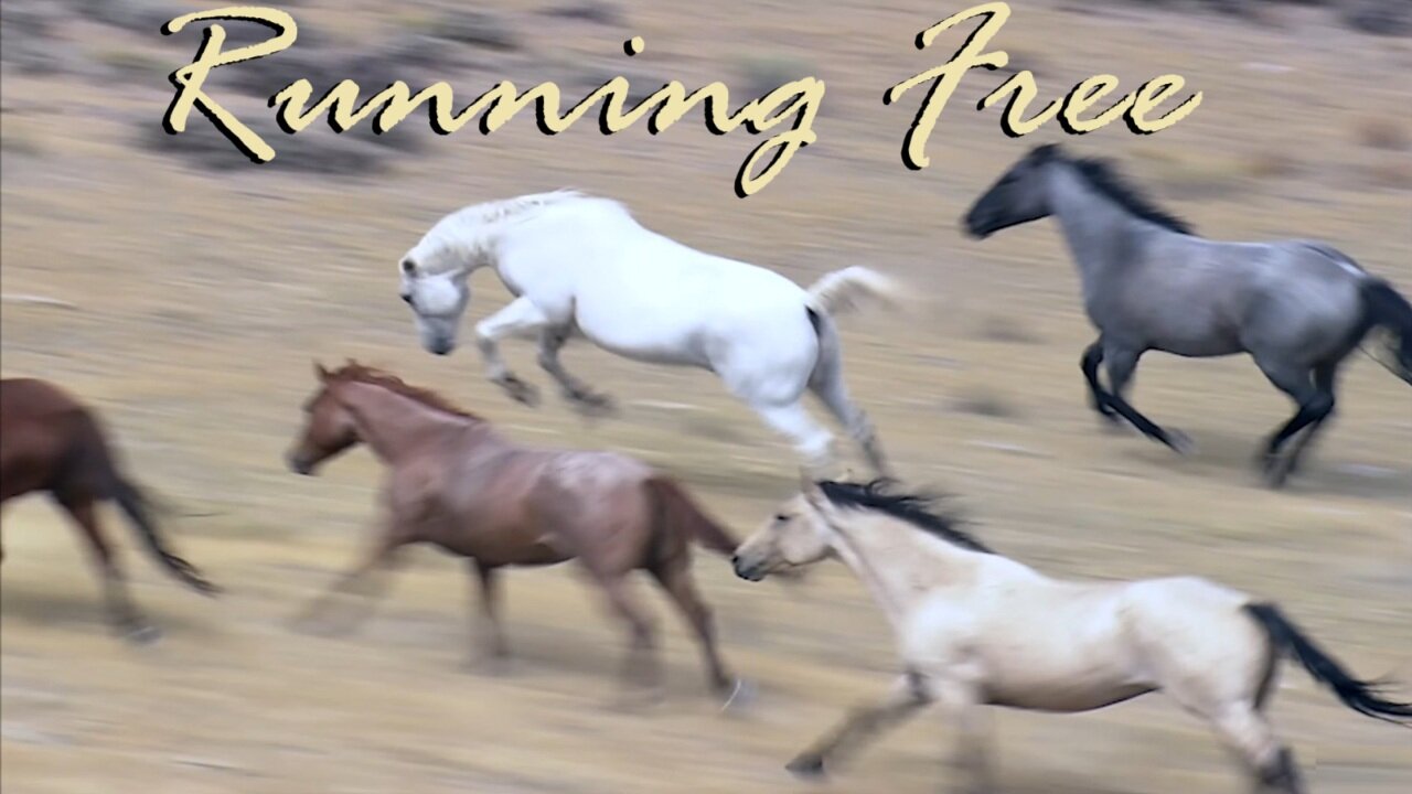 Running Free - Mr.Eaze on 160+ Music Platforms