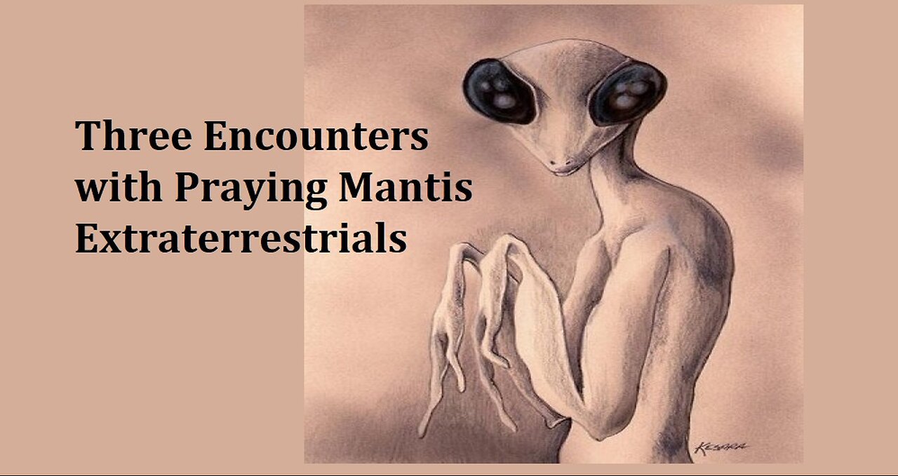 THREE ENCOUNTERS WITH PRAYING MANTIS EXTRATERRESTRIALS