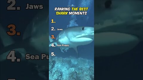 Ranking The Best Shark Moments