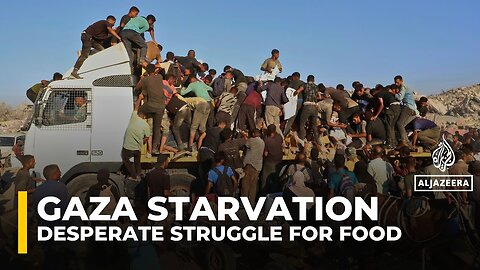 Desperate Struggle for Food in Gaza