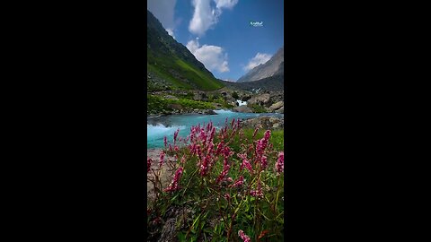 lake video