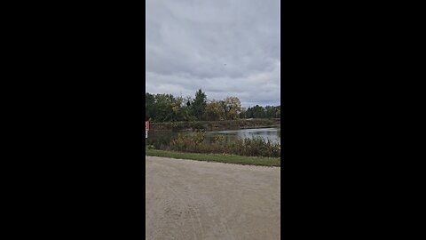 A View of Autumn from Stonewort Pond's Southern Shore