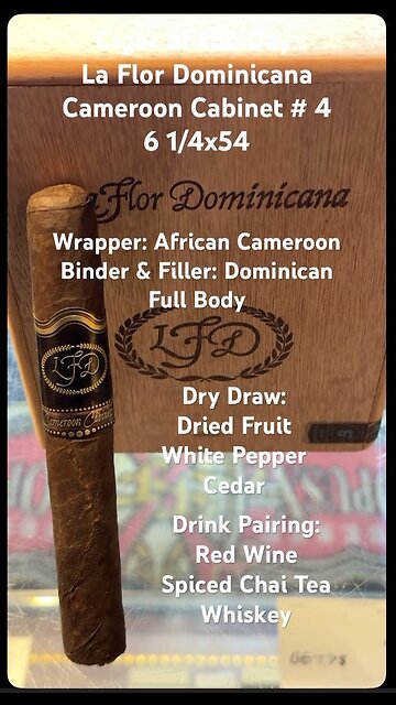 Cameroon Cabinet # 4 (La Flor Dominicana) 6 1/4x54 #Shorts #CigarOfTheDay #Short #CigarReview