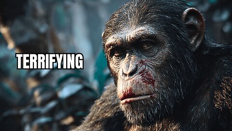 This Is Why Chimps Are the Most Terrifying Killers in the Wild