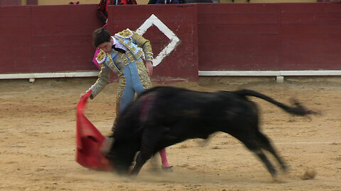 2025 04 05 VINAROZ NOVILLADA PICADA PINCHA