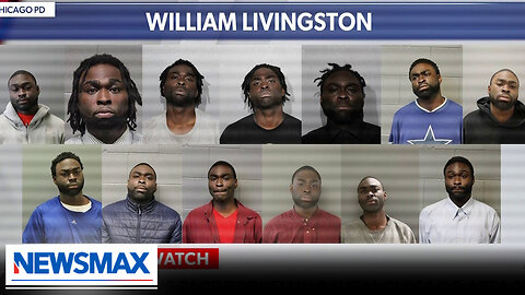 Woman's face broken in Chicago by repeat offender with 13 mug shots | Wake Up America