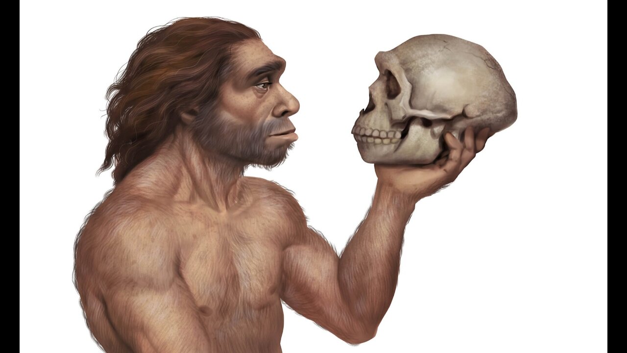 Radical Right Christian Neanderthals