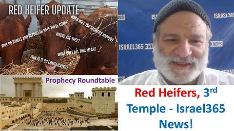 When Will The Red Heifer & 3rd Temple Begin In Jerusalem? Prophecy Roundtable