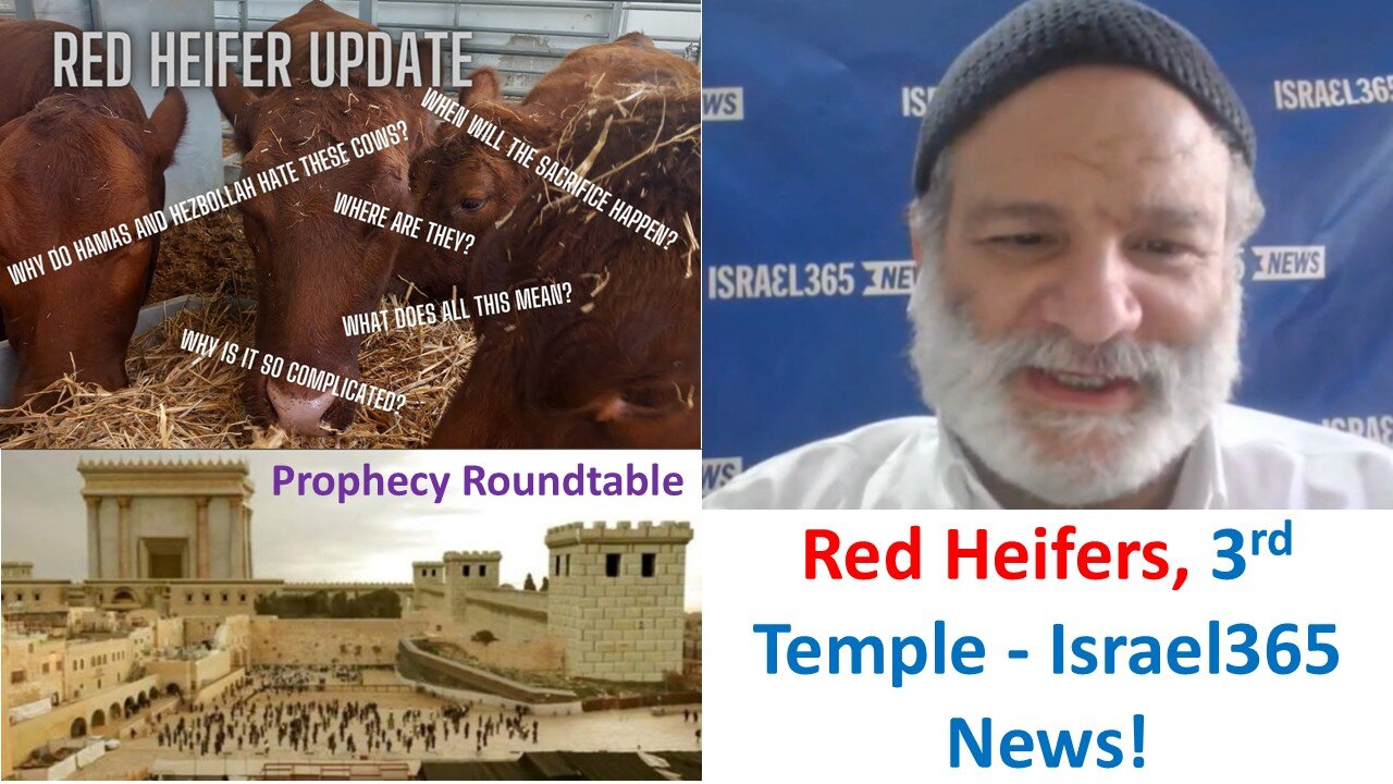 When Will The Red Heifer & 3rd Temple Begin In Jerusalem? Prophecy Roundtable
