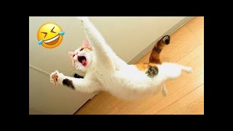 Hilarious Animal Fails: Funniest Pets & Wild Reactions!