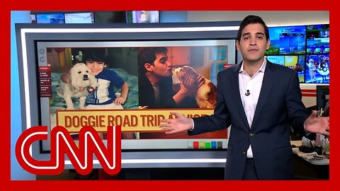 The dog days of summer: Enten on traveling with your pooch