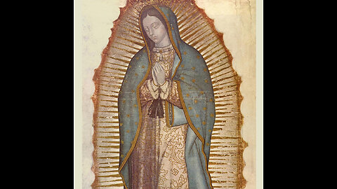 Clase 16 - Investigaciones: N.S de Fátima y N.S. de Guadalupe