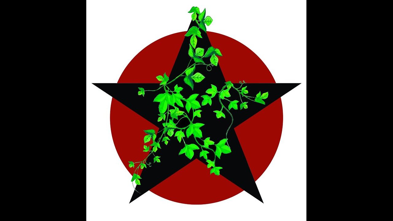 Paul Cudenec - Anarchism in the Bio-Digital Convergence.