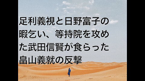 足利義視と日野富子の暇乞い、等持院を攻めた武田信賢が食らった畠山義就の反撃